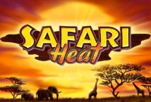 Safari Heat Slot Review